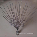 Stainless Steel Pigeon Bird Spike,Anti Bird Spike